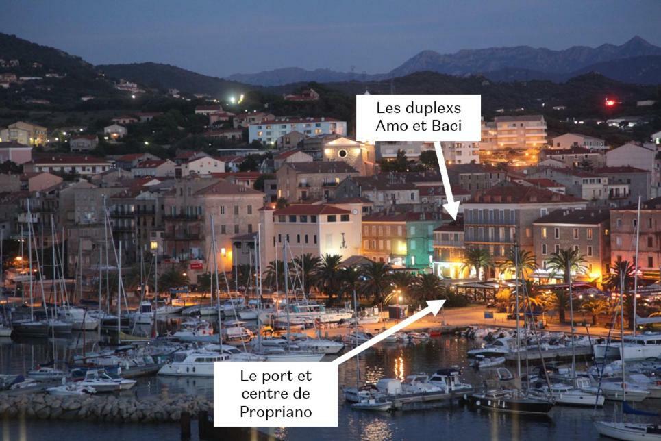 Duplex En Plein Centre Apartment Propriano  Luaran gambar